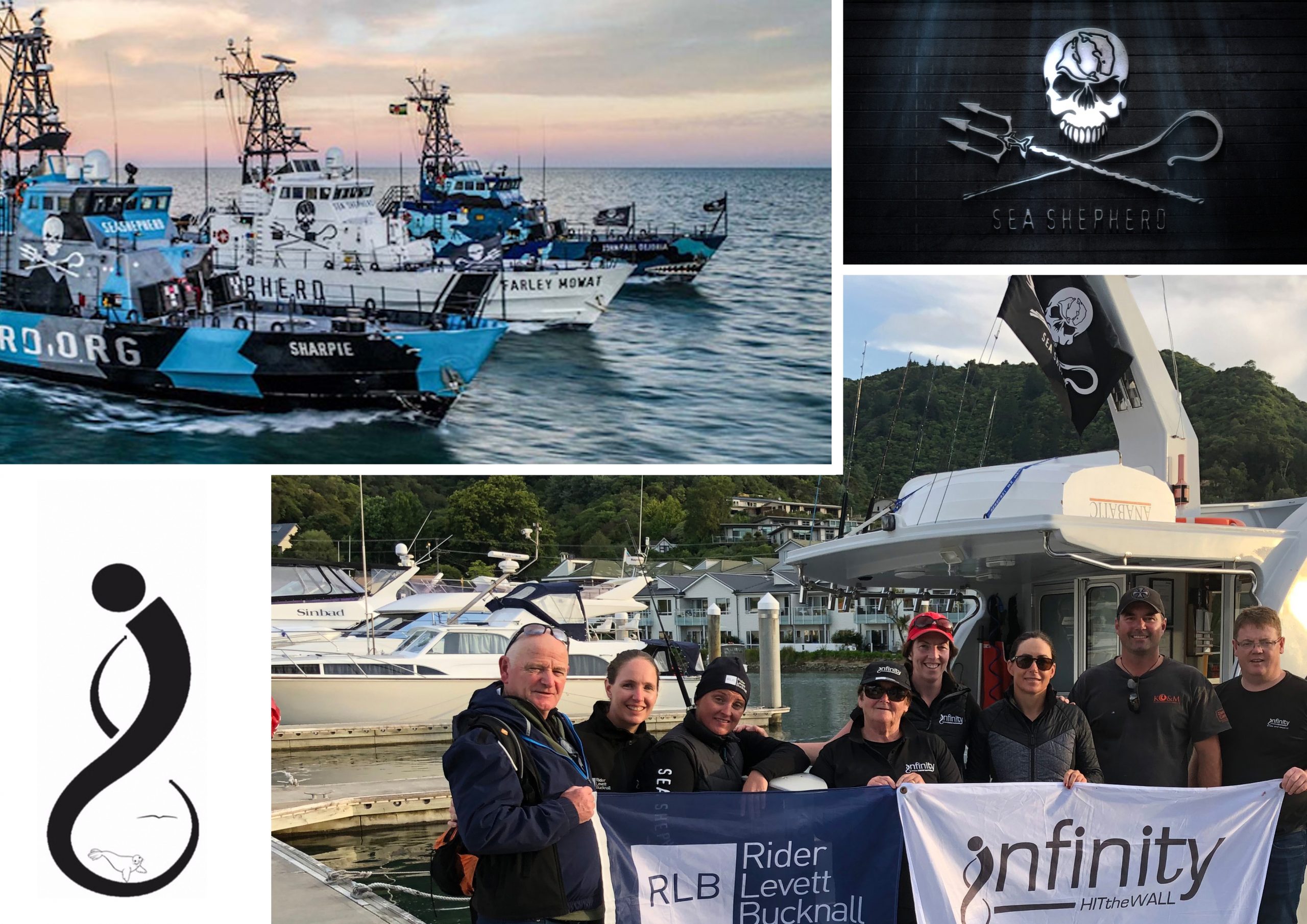 Sea Shepherd: A Movement 